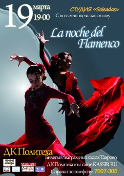 La noche del Flamenco