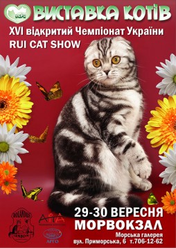   RUI Cat Show