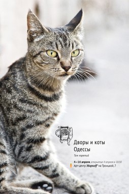 Дворы и коты Одессы. Том третий