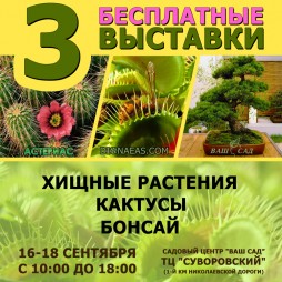 3   -   ,  ,  .