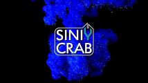 SiniY Crab, Центр креативных искусств